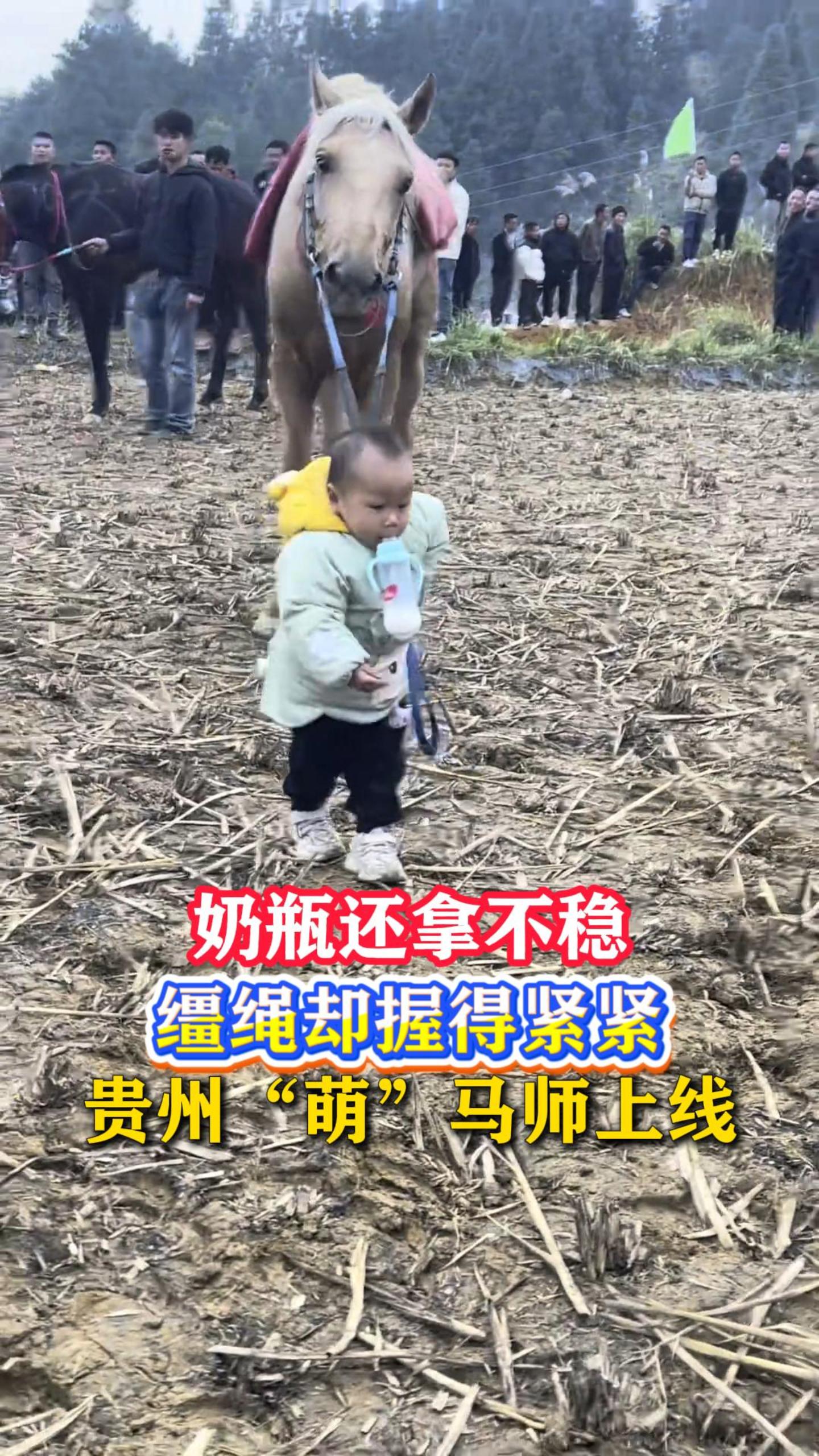 ��ƿ���ò��ȣ�����ȴ�յý��������ݡ��ȡ���ʦ����