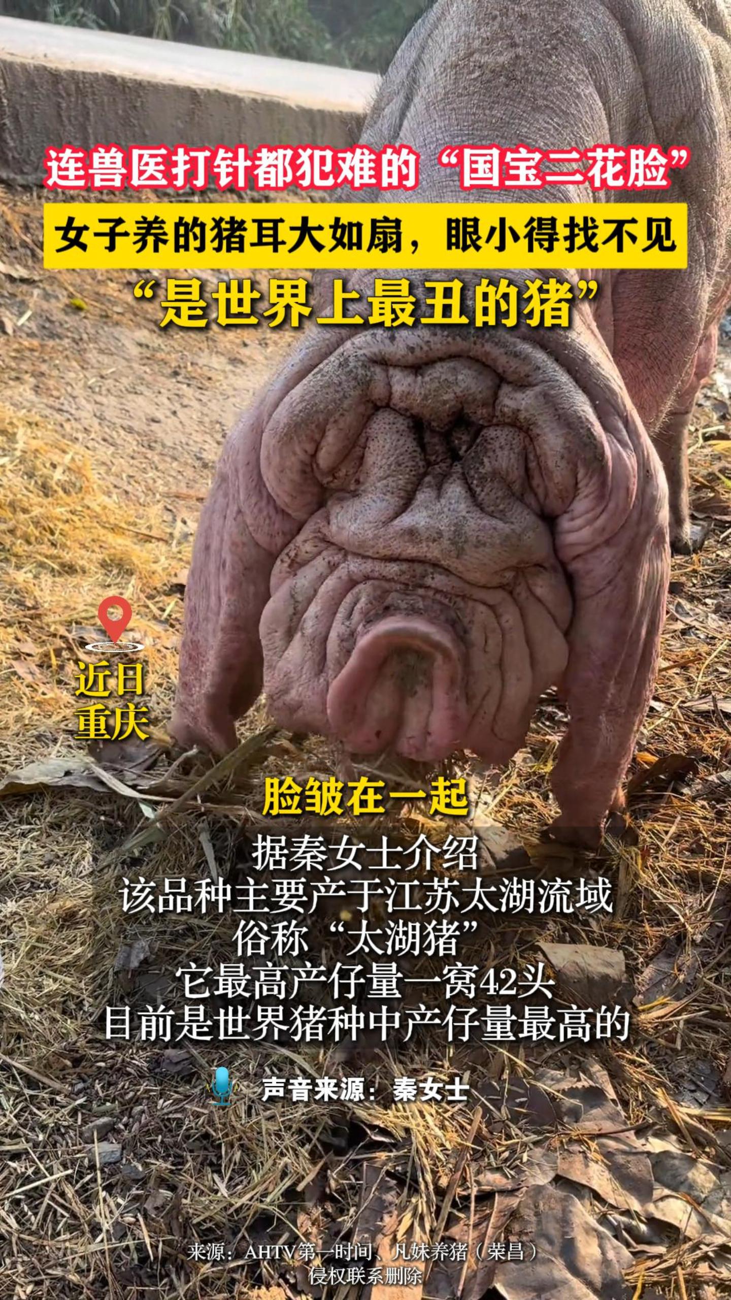 ����ҽ���붼���ѵġ���������������Ů���������������ȣ���С���Ҳ��� ������������������