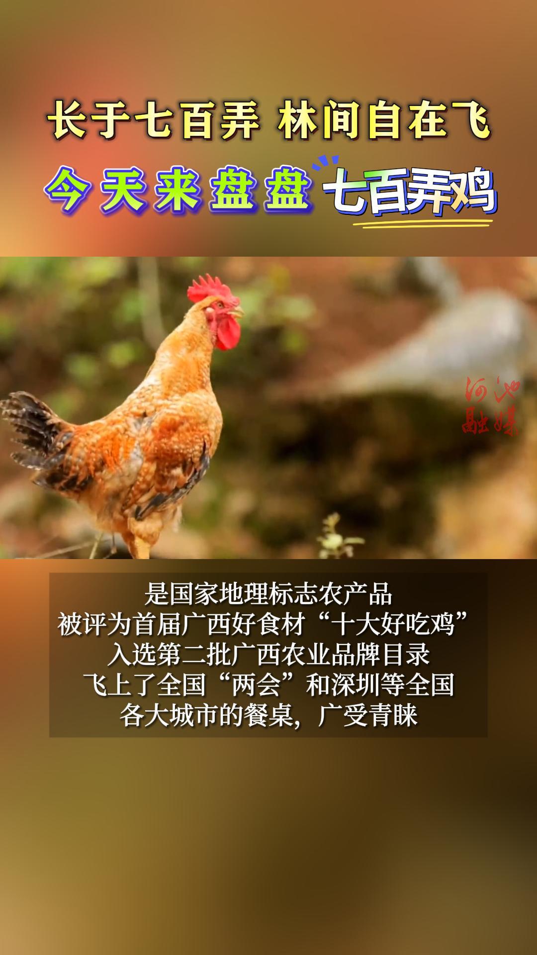 �����߰�Ū���ּ����ڷɣ������������߰�Ū��