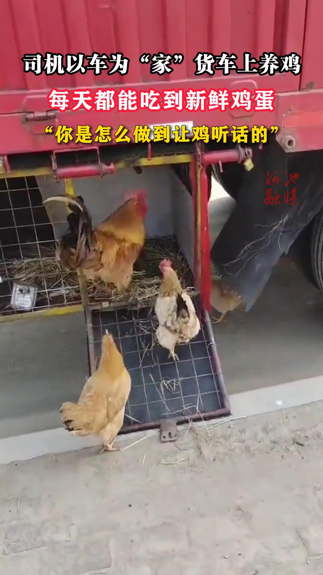 ˾���Գ�Ϊ���ҡ�������������ÿ�춼�ܳԵ����ʼ�����