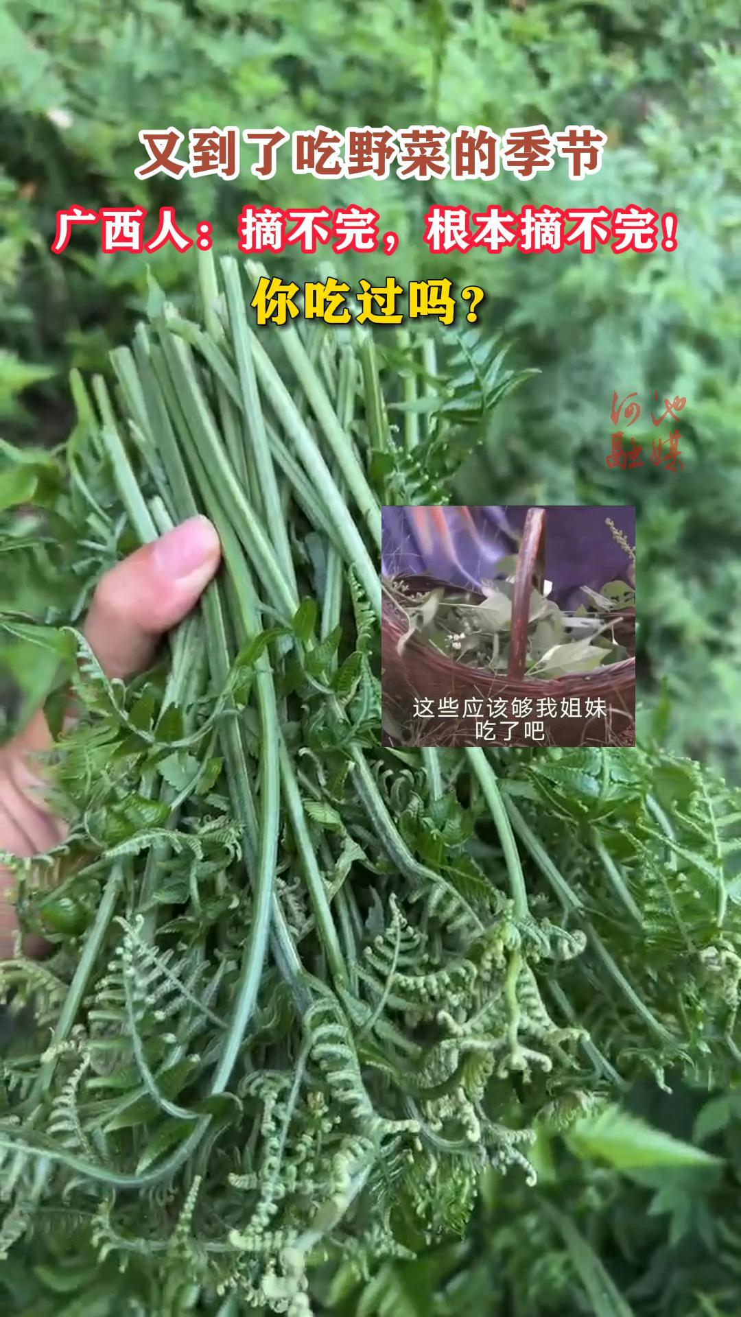 �ֵ��˳�Ұ�˵ļ��ڣ������ˣ�ժ���꣬����ժ���꣡��Թ���