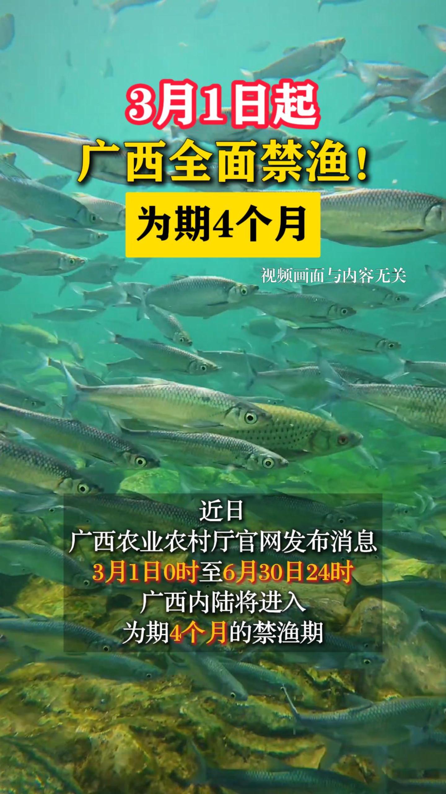 3��1���𣬹���ȫ����棡Ϊ��4����