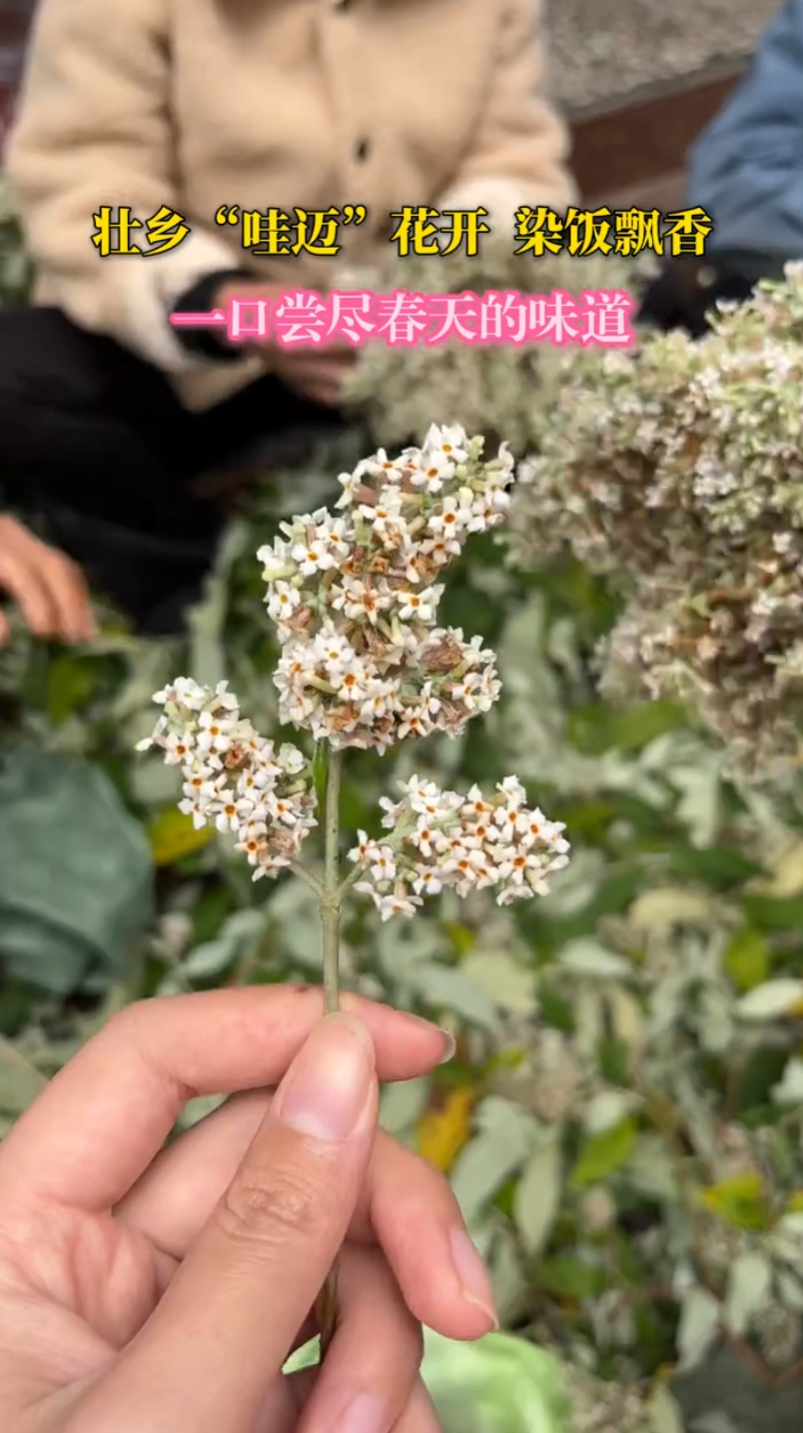 ׳�硰������������Ⱦ��Ʈ�㣬һ�ڳ��������ζ��