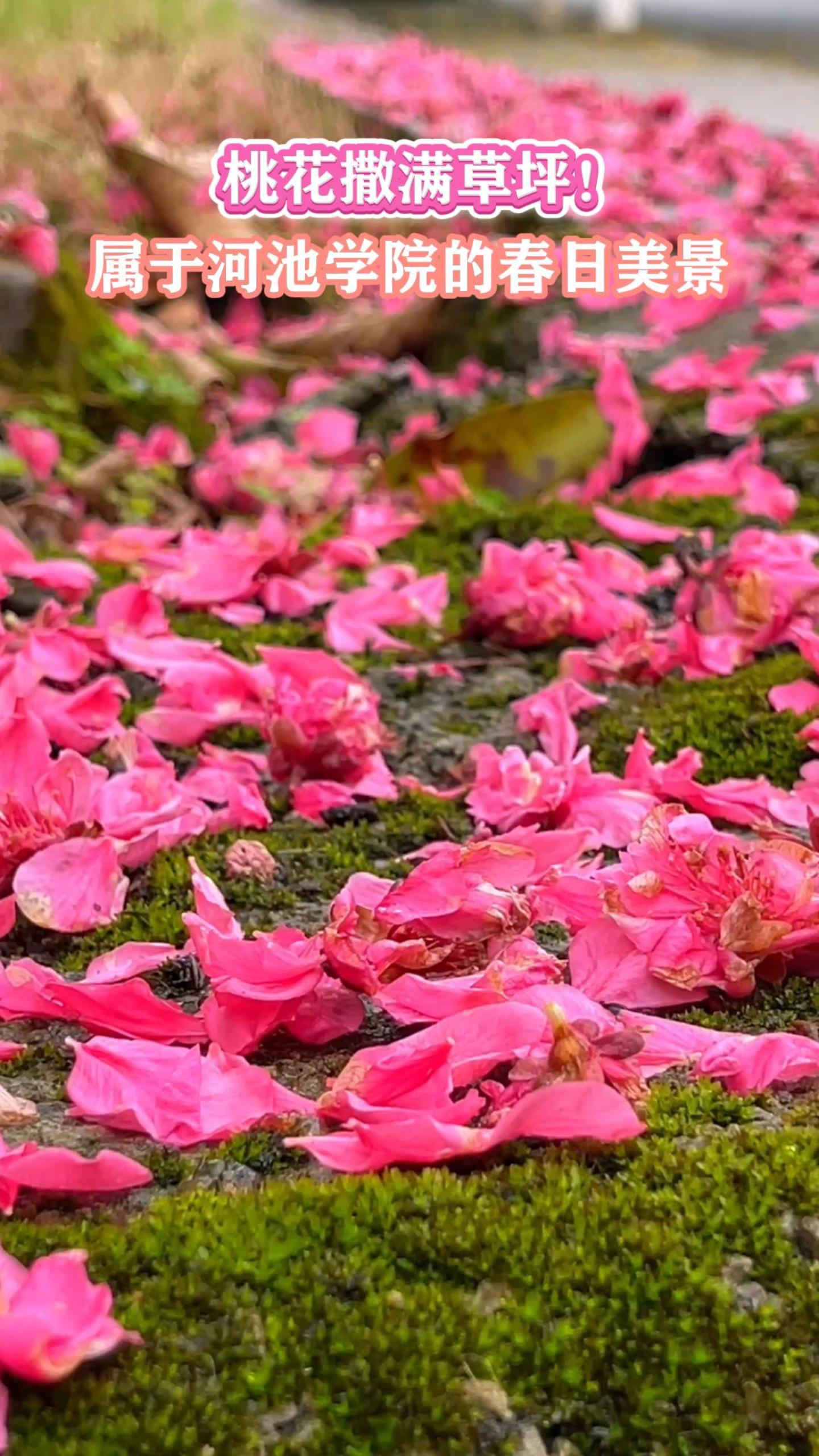 �һ�������ƺ�����ںӳ�ѧԺ�Ĵ�������