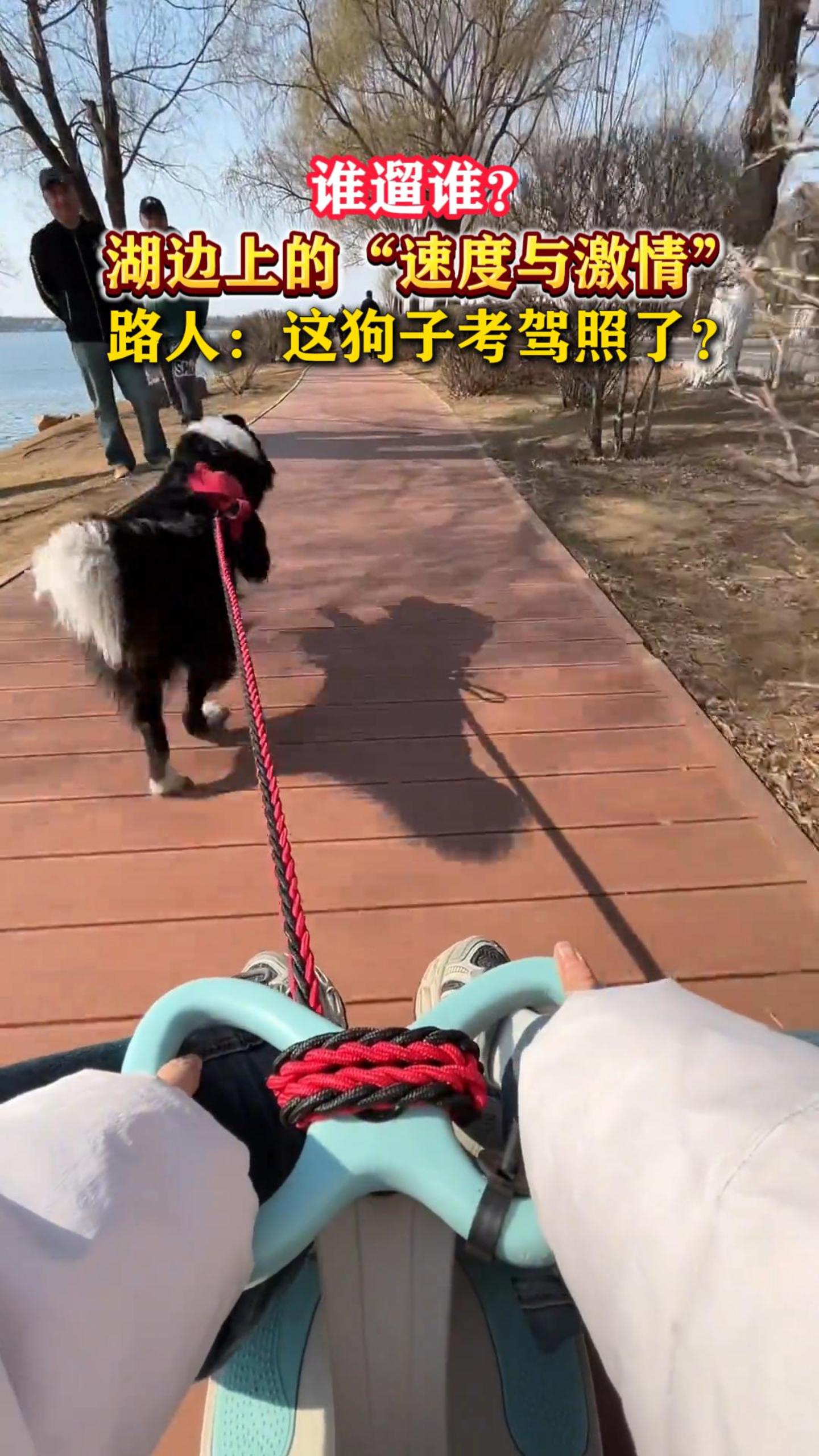 ˭��˭�������ϵġ��ٶ��뼤�顱��·�ˣ��⹷�ӿ������ˣ�