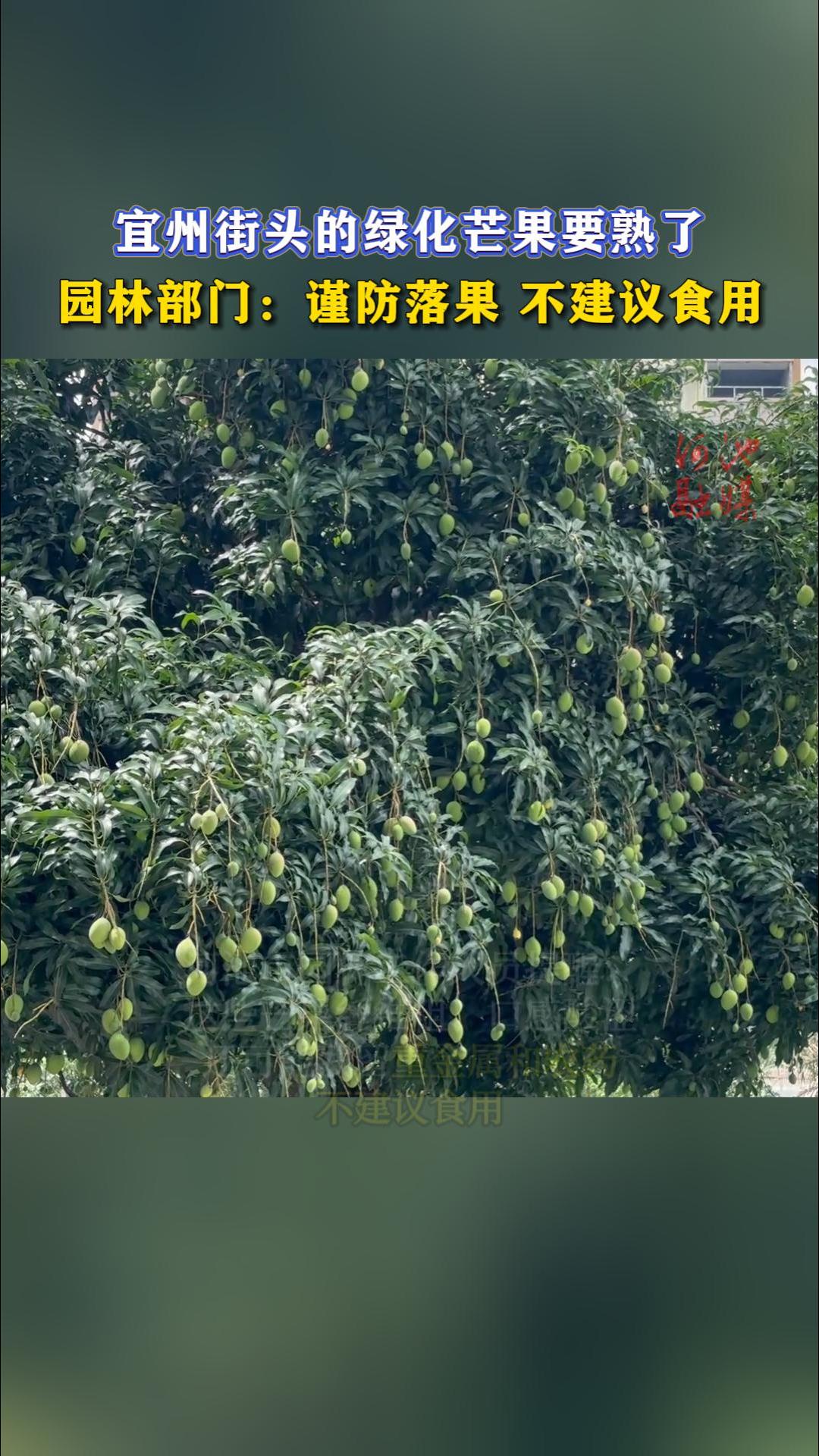 ���ݽ�ͷ���̻�â��Ҫ���ˣ�԰�ֲ��ţ�������� ������ʳ�á�