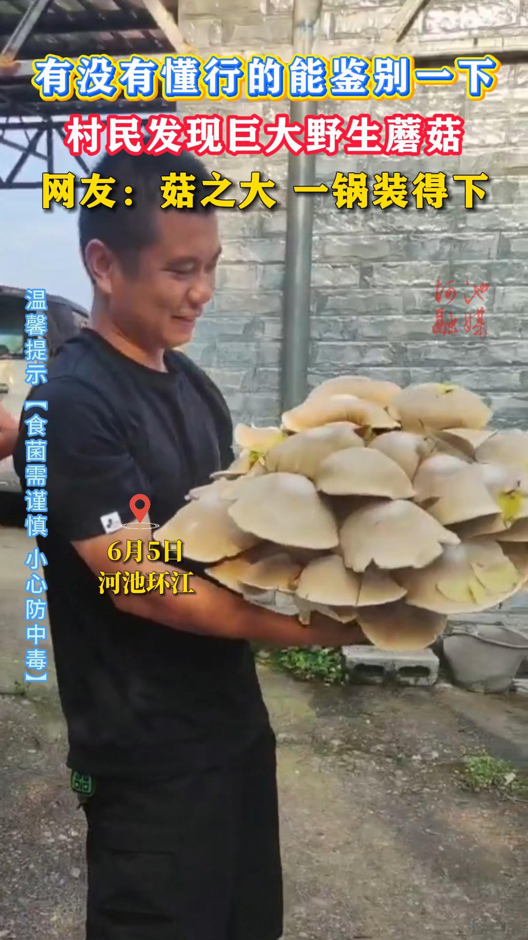 ��û�ж��е��ܼ���һ�£������־޴�Ұ��Ģ�������ѣ���֮�� һ��װ����