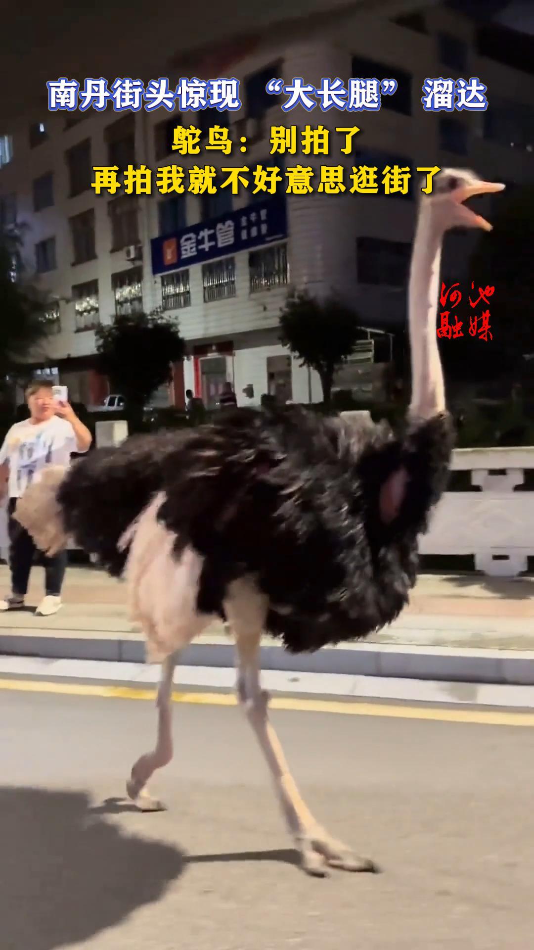 �ϵ���ͷ���� �����ȡ� �����񣺱����������ҾͲ�����˼����ˡ�