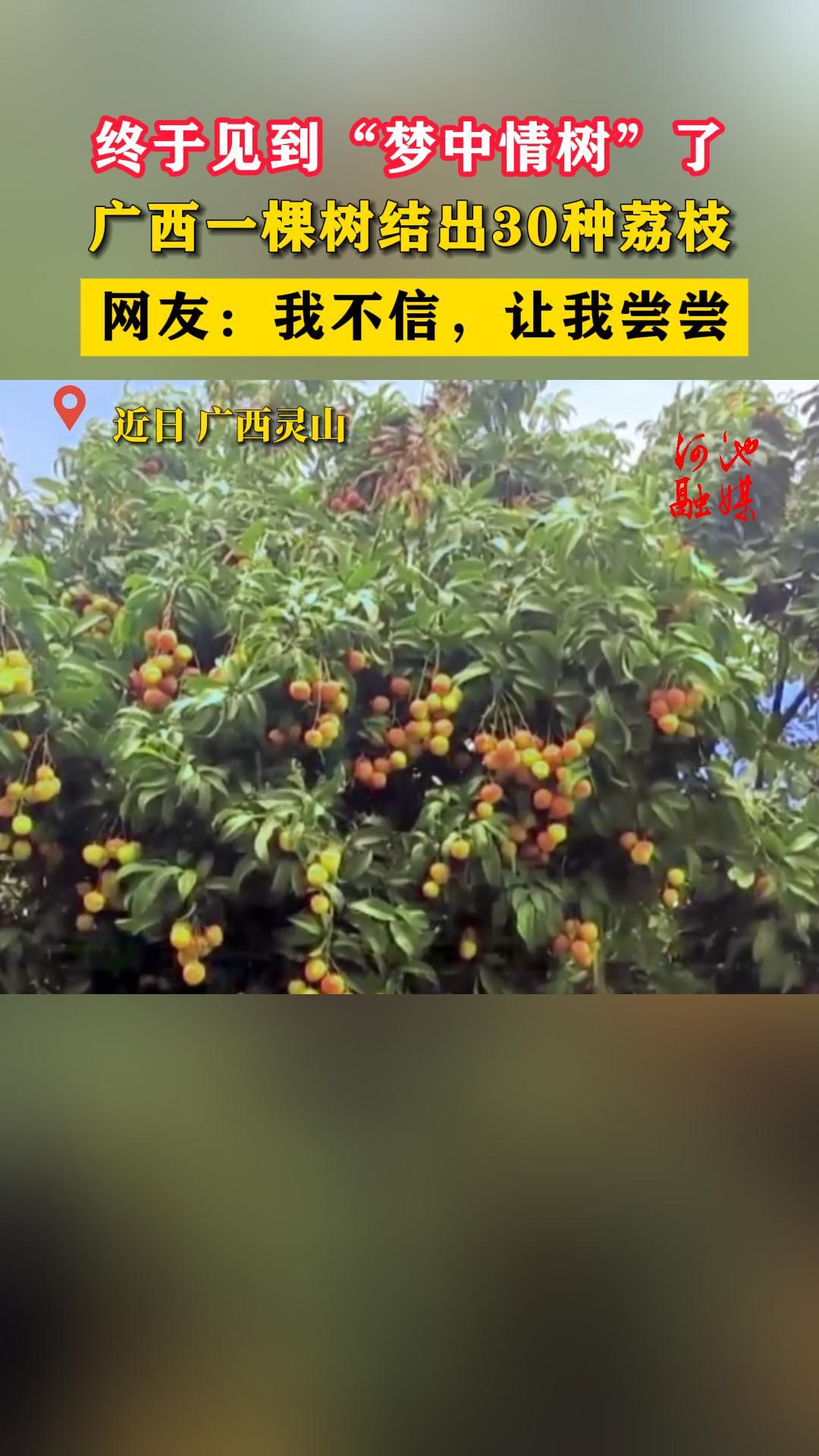 ���ڼ����������������ˣ�����һ�������30����֦�����ѣ��Ҳ��ţ����ҳ���
