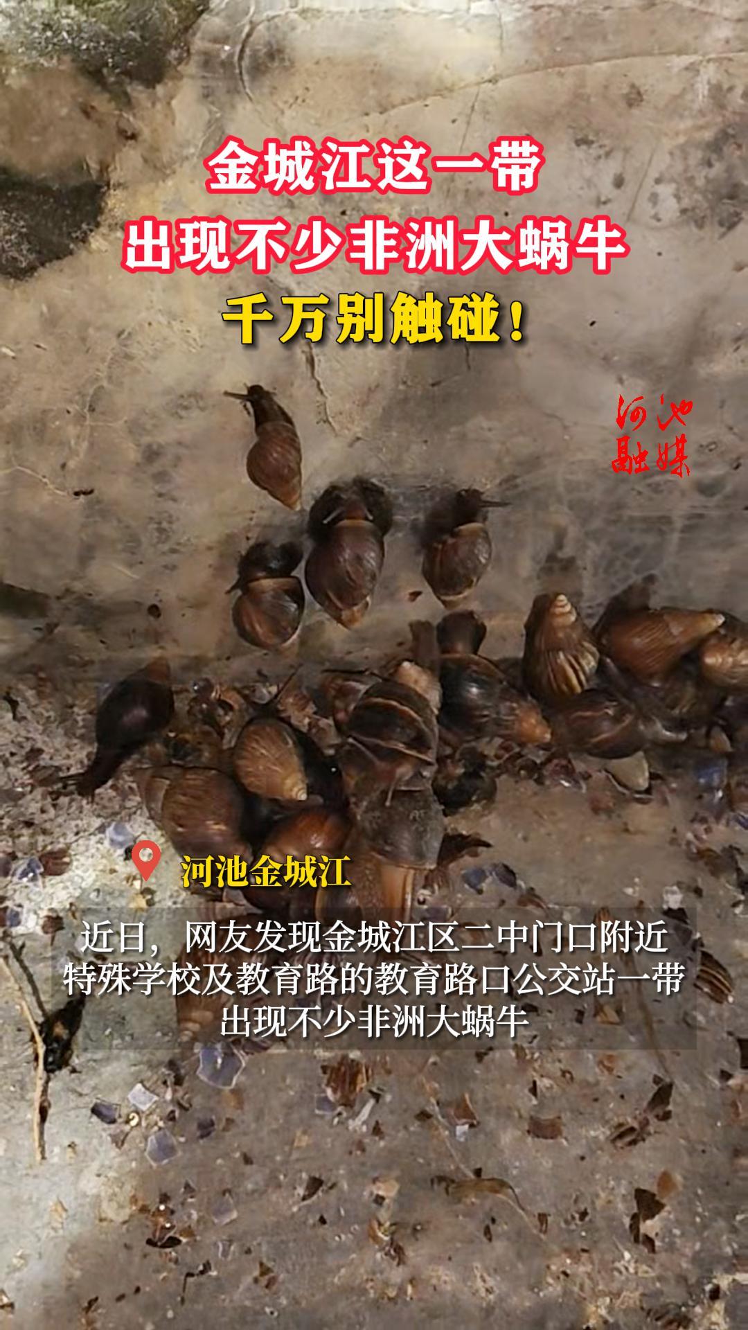 ��ǽ���һ�����ֲ��ٷ��޴���ţ��ǧ�������