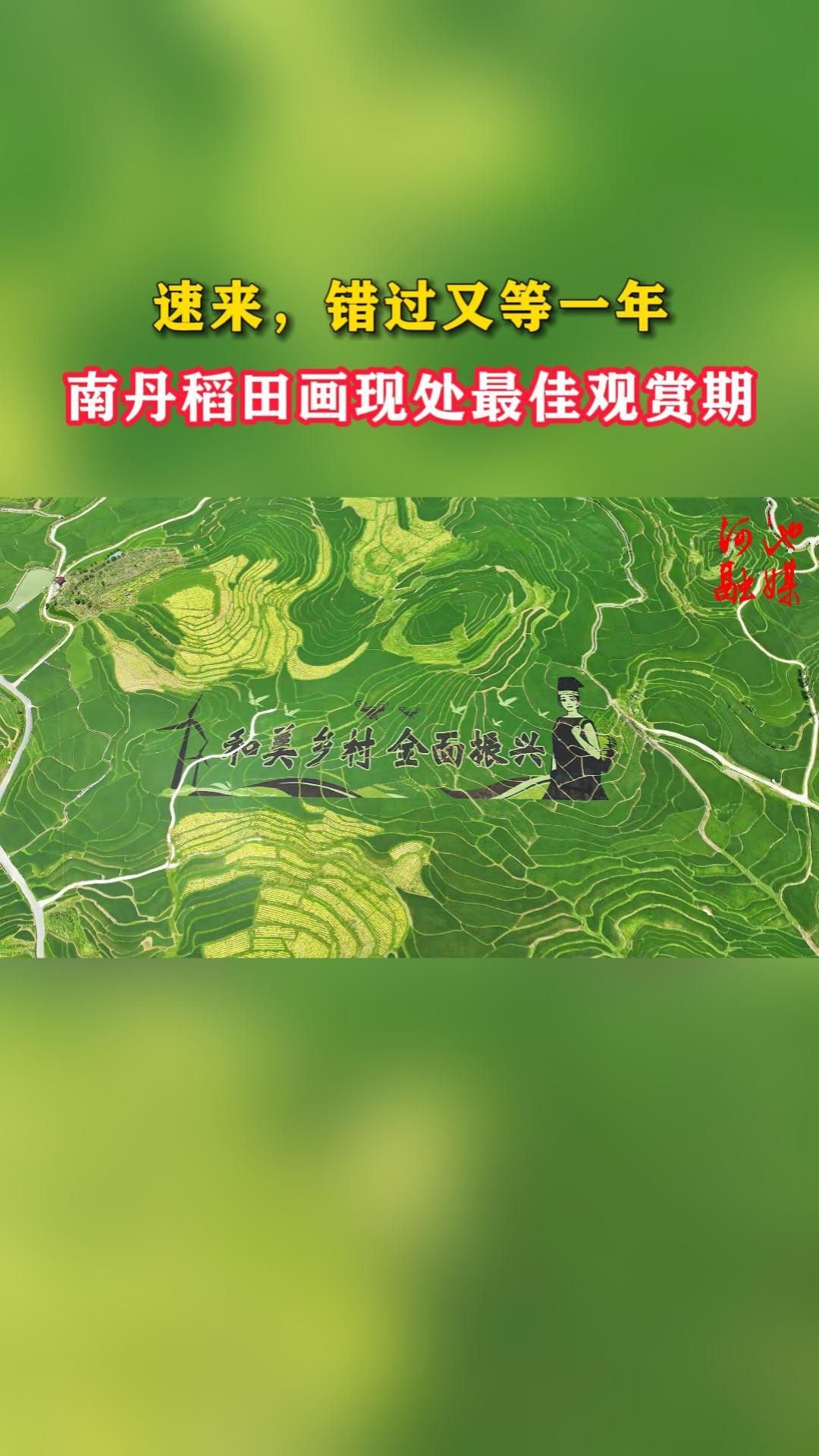 �����������ֵ�һ�꣬�ϵ����ﻭ�ִ���ѹ����ڡ�