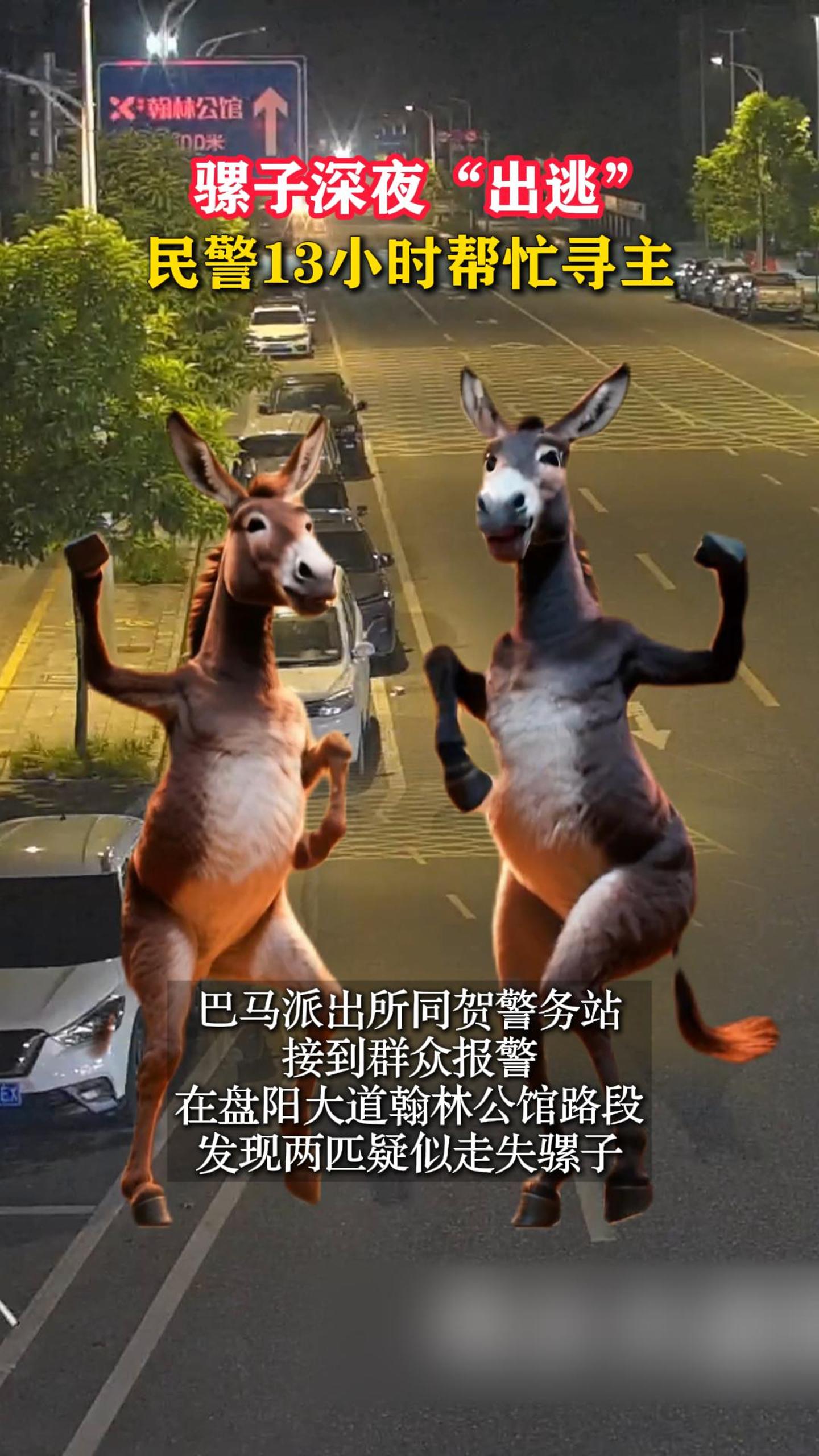 ������ҹ�����ӡ�����13Сʱ��æѰ��