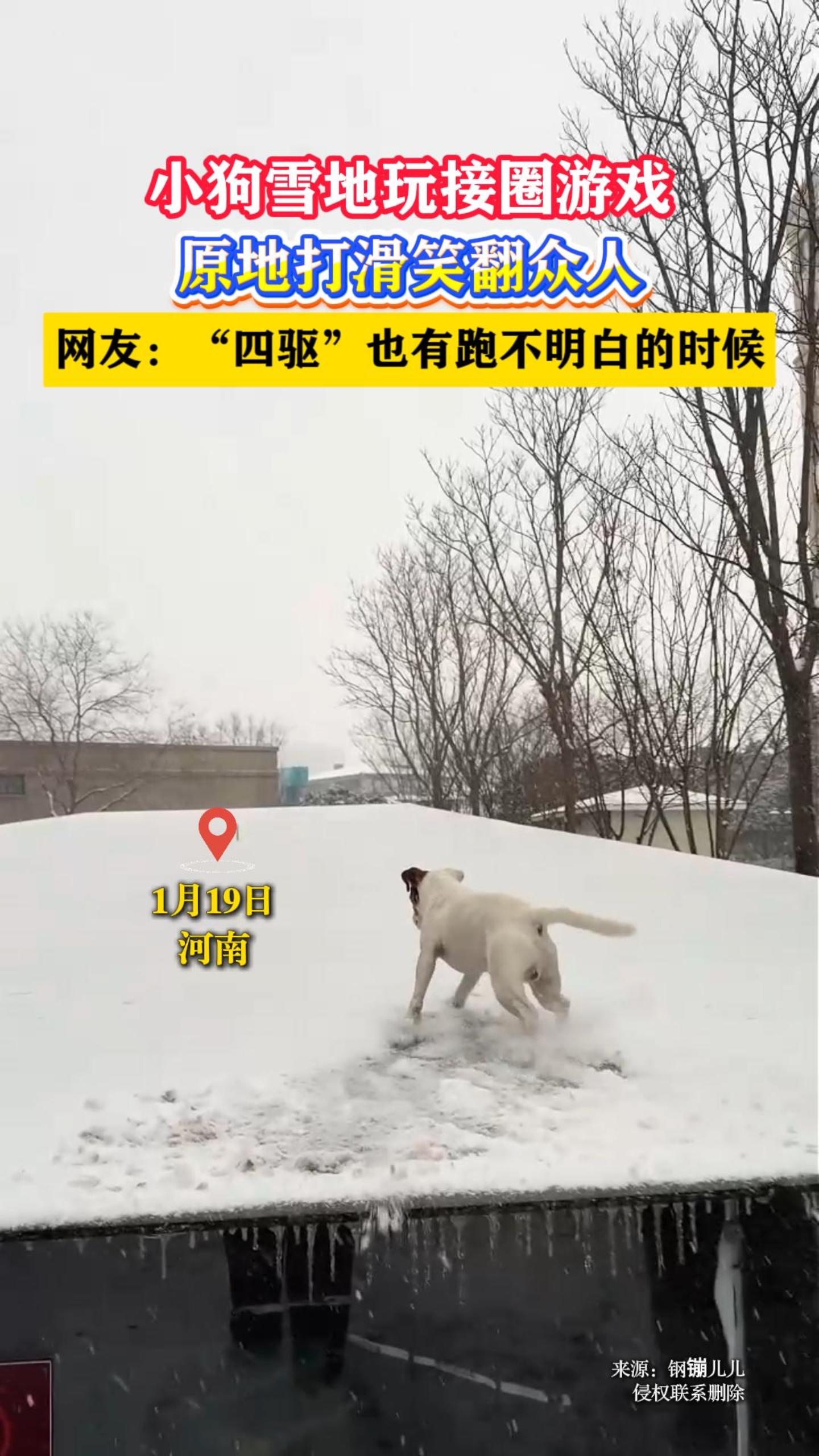 С��ѩ�����Ȧ��Ϸ��ԭ�ش�Ц�����ˡ����ѣ���������Ҳ���ܲ����׵�ʱ��