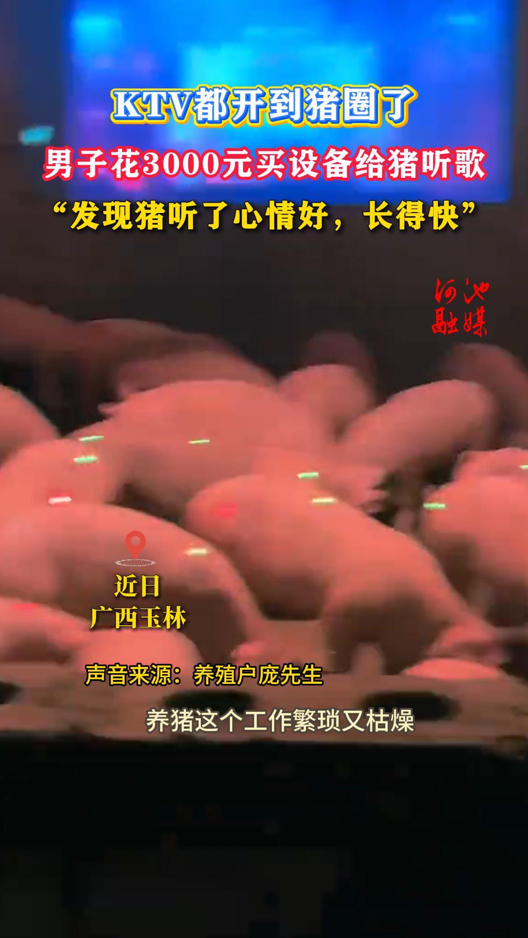 KTV��������Ȧ�ˣ����ӻ�3000Ԫ���豸�������裬����������������ã����ÿ족��