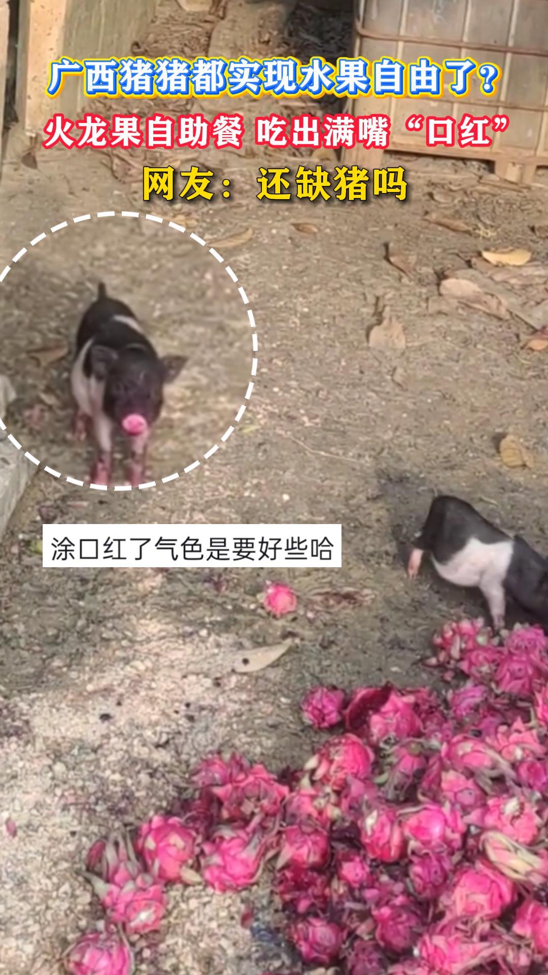 ����������ʵ��ˮ�������ˣ������������� �Գ����조�ں족 ���ѣ���ȱ����