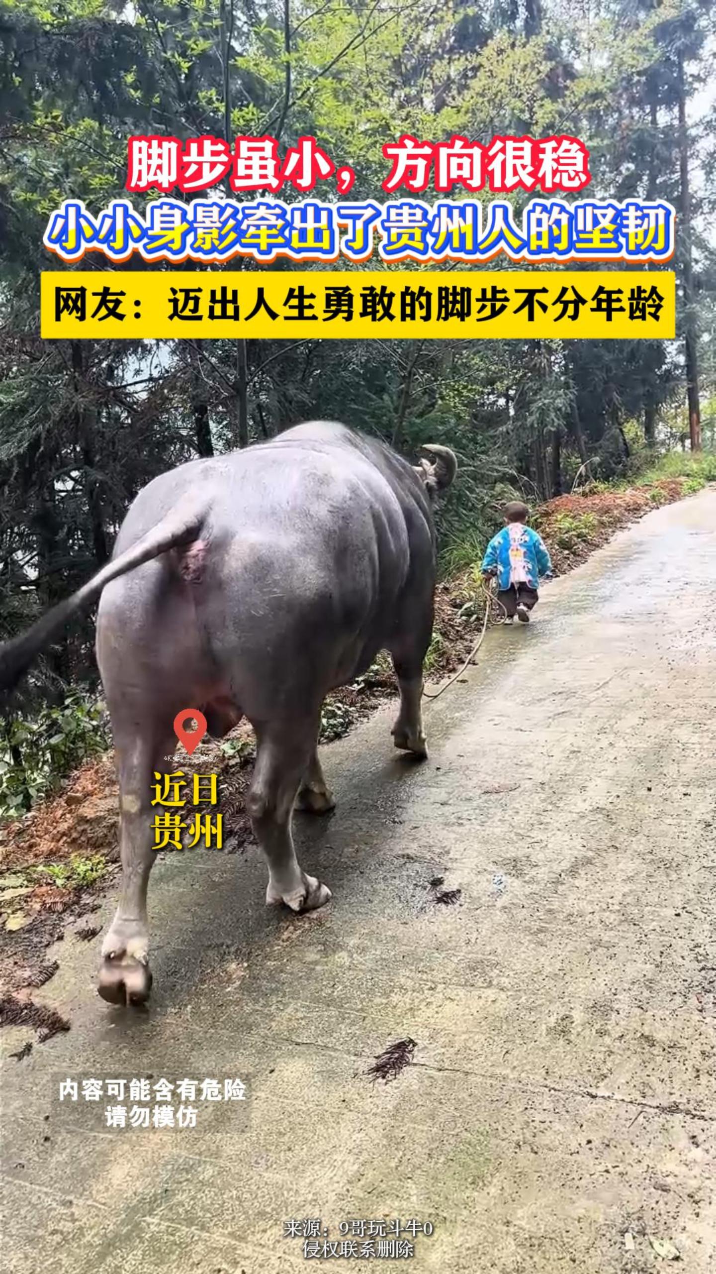�Ų���С��������ȣ�СС��Ӱǣ���˹����˵ļ��͡����ѣ����������¸ҵĽŲ���������