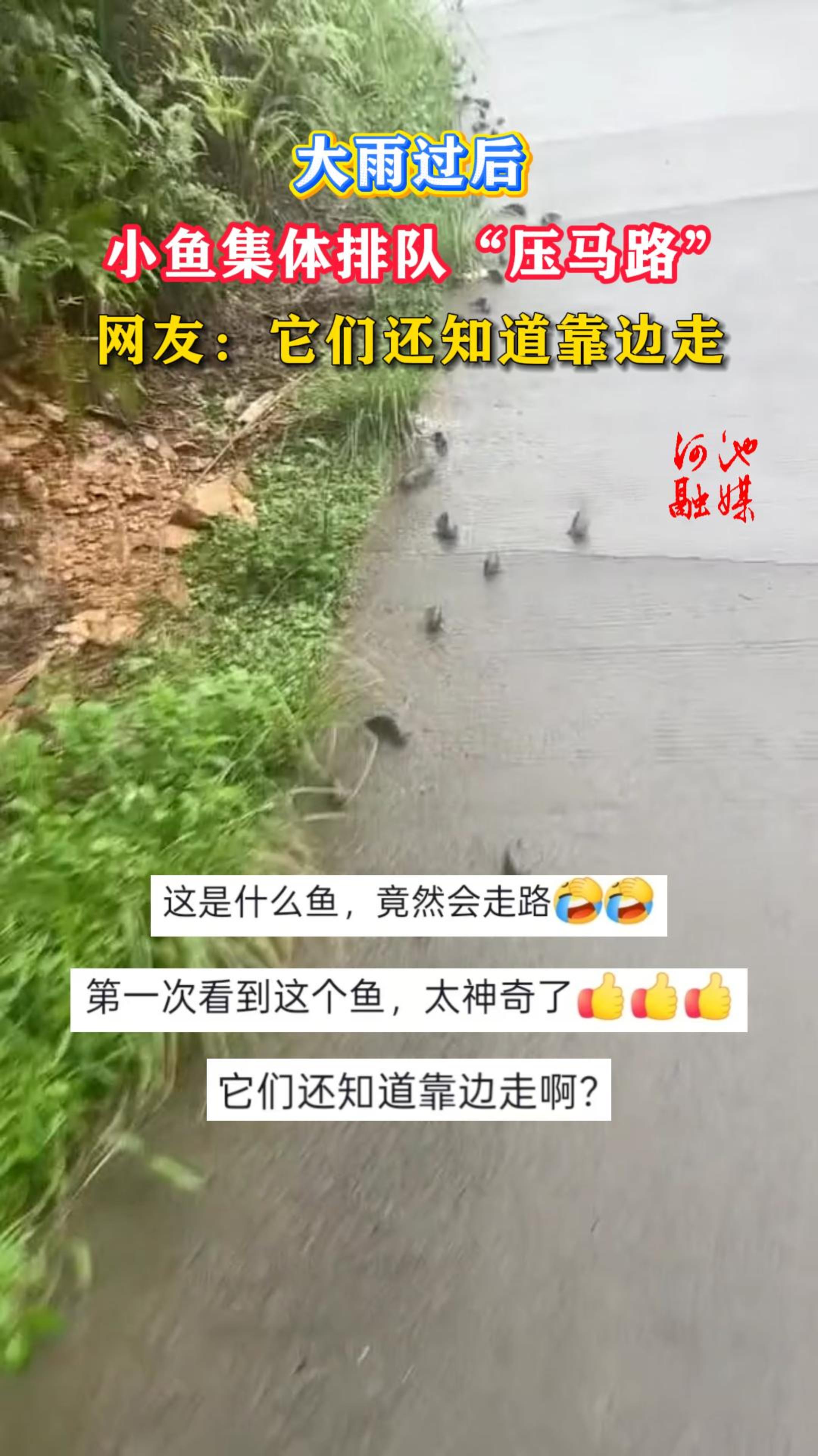 �������С�㼯���Ŷӡ�ѹ��·�������ѣ����ǻ�֪��������