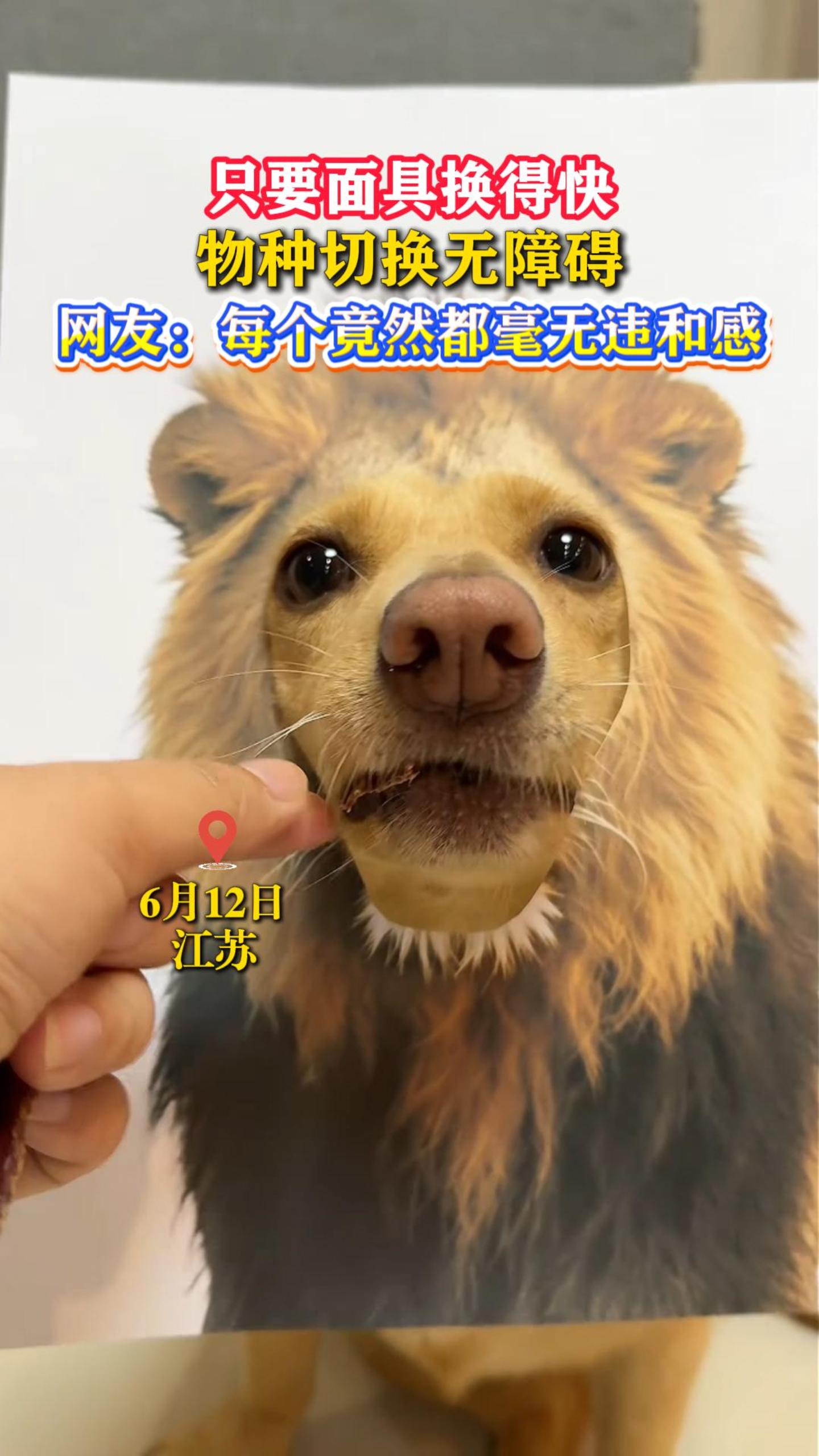 ֻҪ��߻��ÿ죬�����л����ϰ������ѣ�ÿ����Ȼ������Υ�͸�