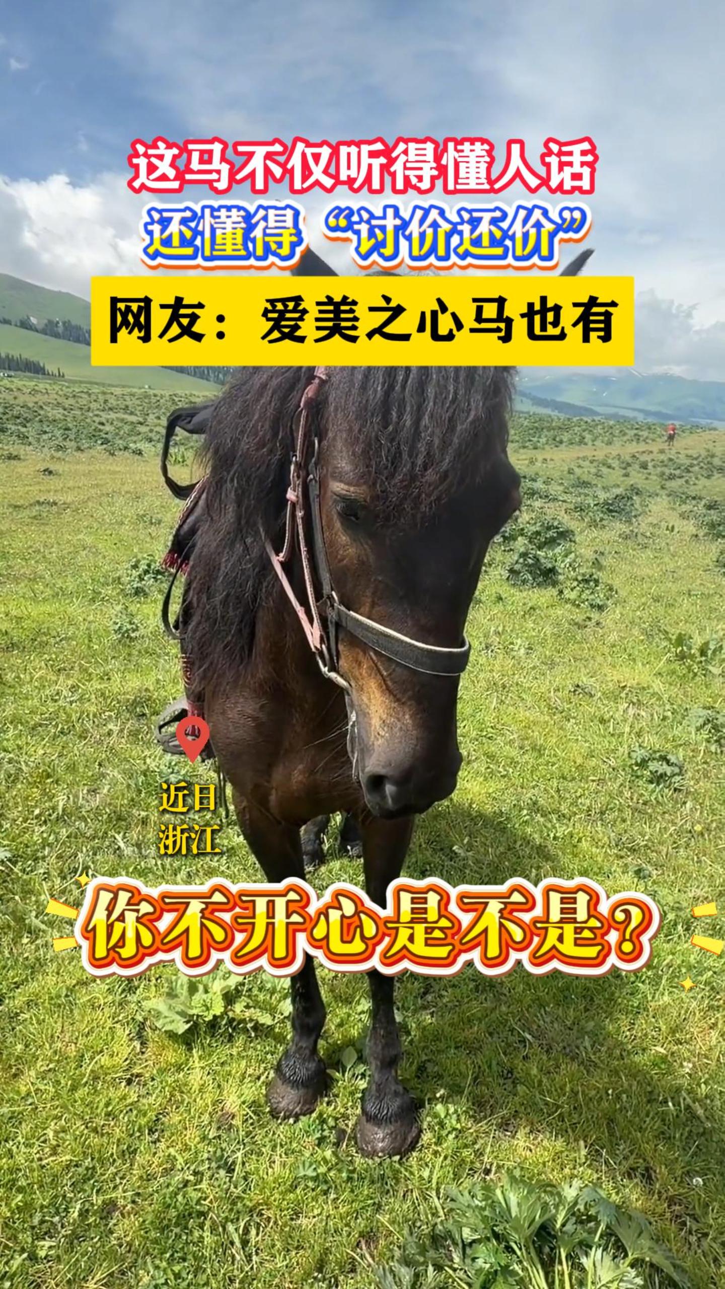 �����������ö��˻��������á��ּۻ��ۡ������ѣ�����֮����Ҳ��
