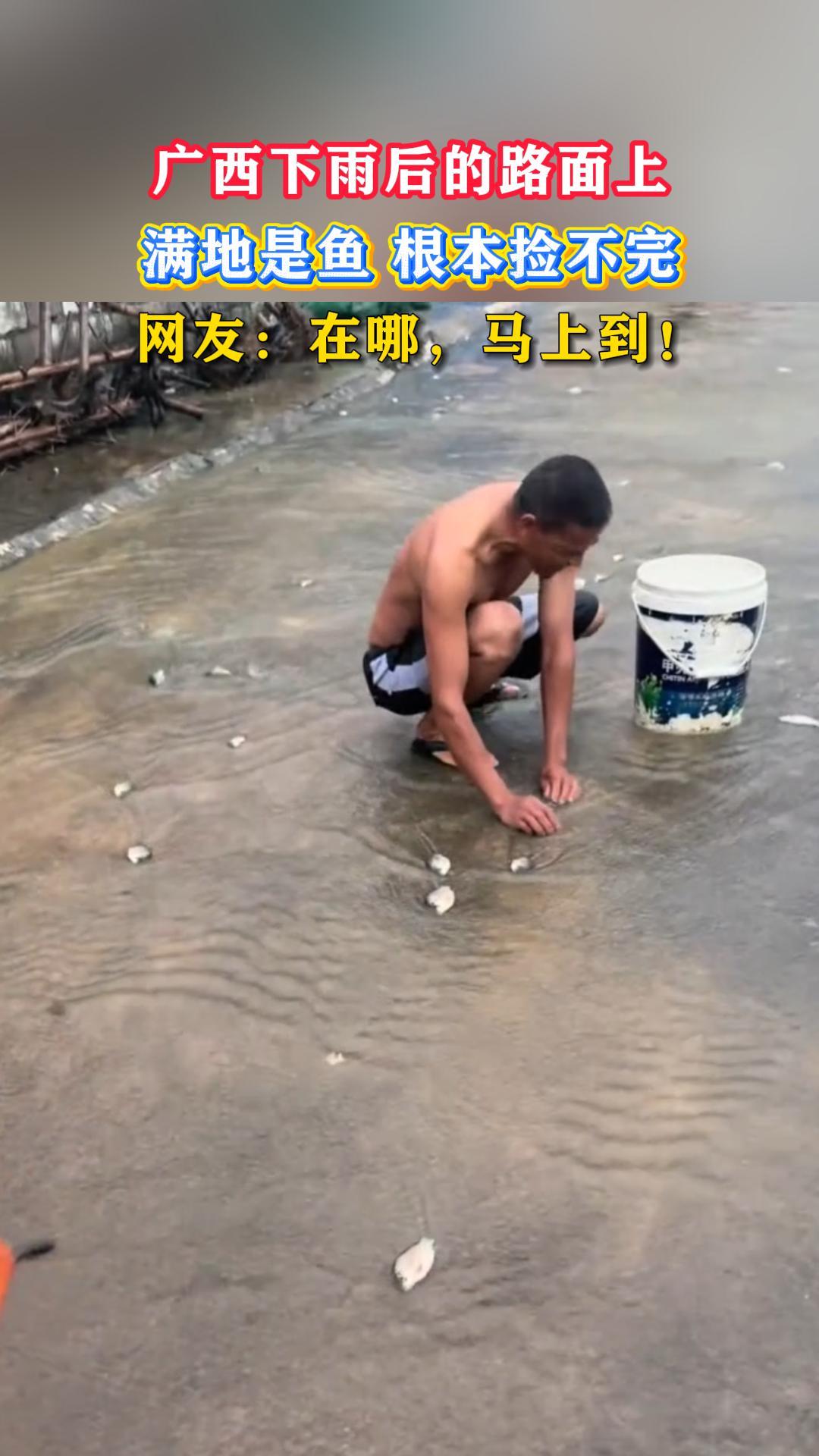 ����������·���ϣ��������㣬�������꣡���ѣ����ģ����ϵ���