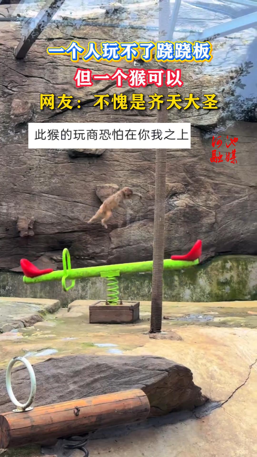 һ�����治�����ΰ壬��һ������ԡ����ѣ������������ʥ