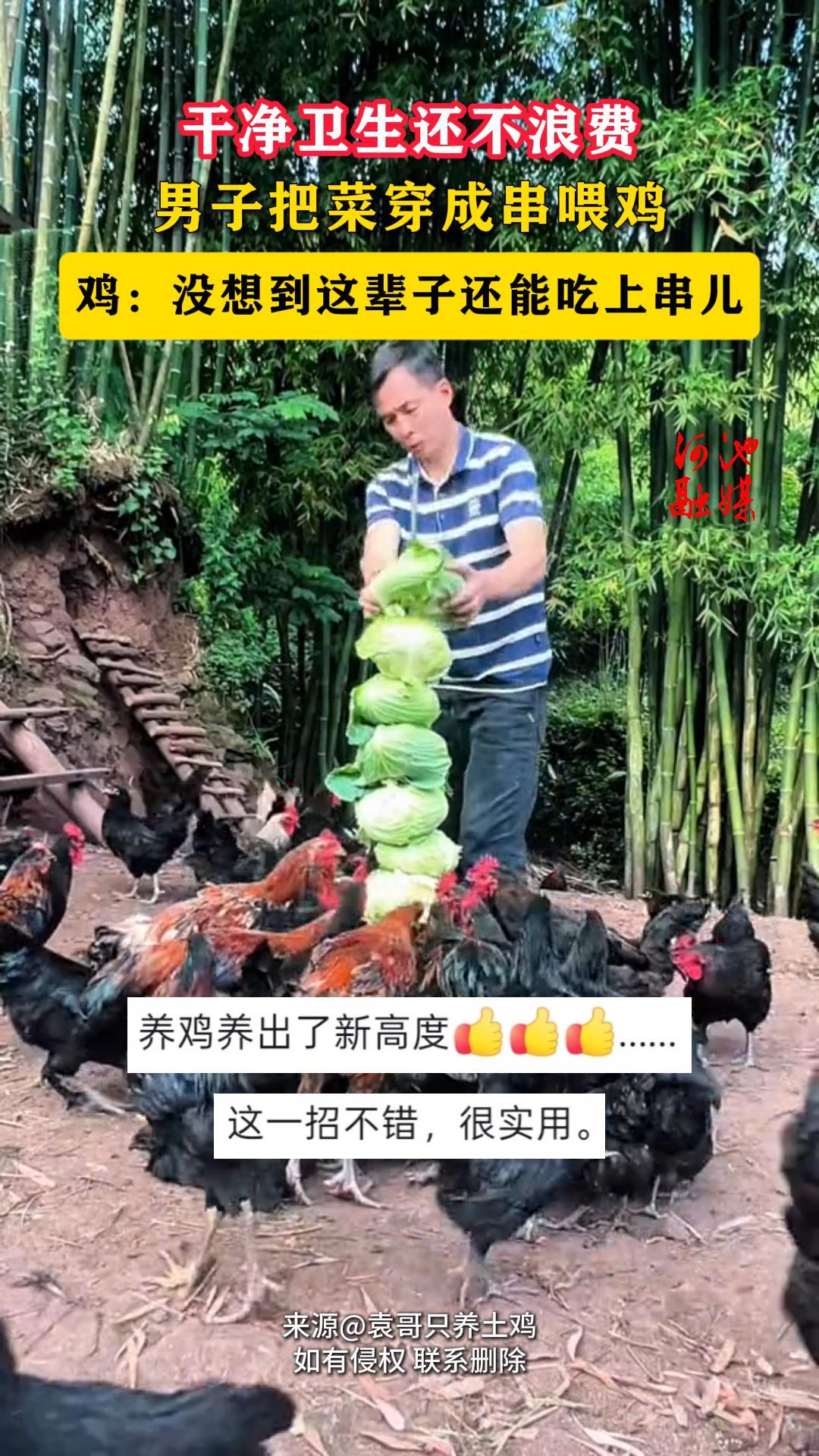 �ɾ����������˷ѣ����ӰѲ˴��ɴ�ι��������û�뵽�Ⱳ�ӻ��ܳ��ϴ���