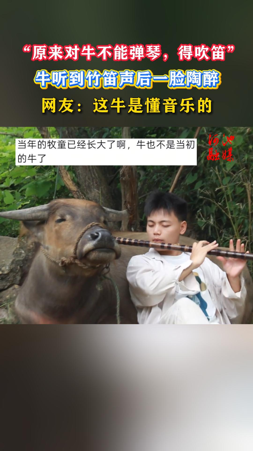 ��ԭ����ţ���ܵ��٣��ô��ѡ���ţ�����������һ�����������ѣ���ţ�Ƕ����ֵ�
